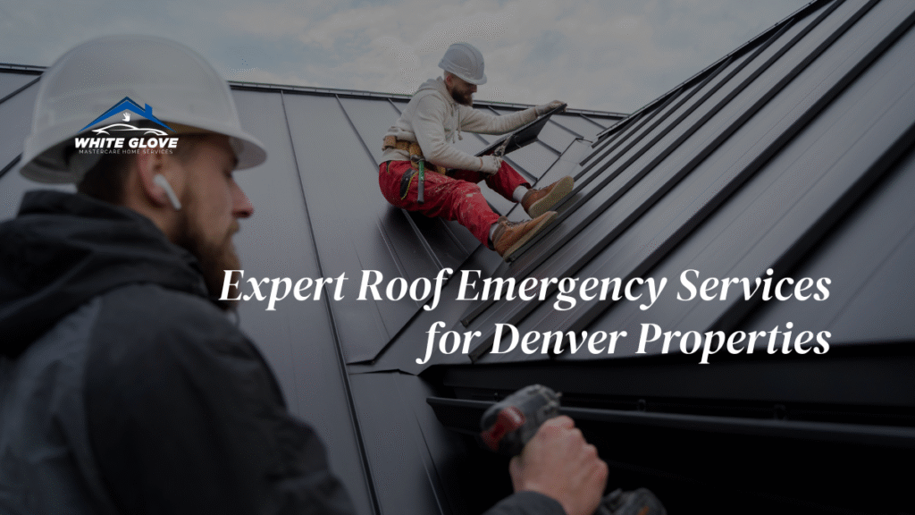 roof emergency services in Denver