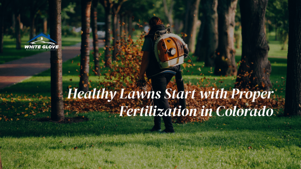 lawn fertilization services colorado