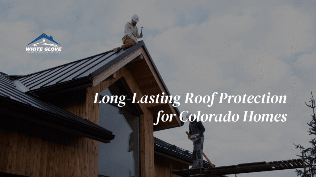 Roof Maintenance Services