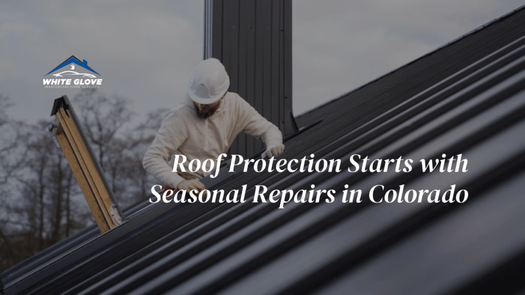 roof repair & guttering services in Colorado
